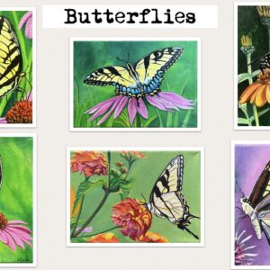 Butterflies Note Cards