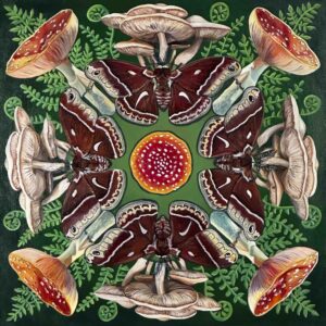 Flitting Among the Fungi, Jennifer Mallory-Welch